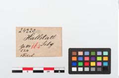 Etiketten zu Bronzeschlangenfibel (NHMW-PRAE-024220)